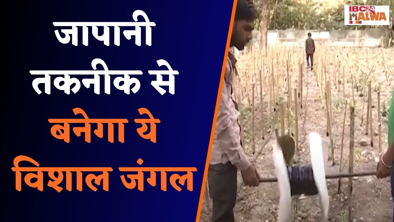 Indore: SGSITS में रूपांतर सोसाइटी ने जापानी तकनीक से 5 दिन पौधे लगाना शुरू | अबतक लग चुके इतने पौधे