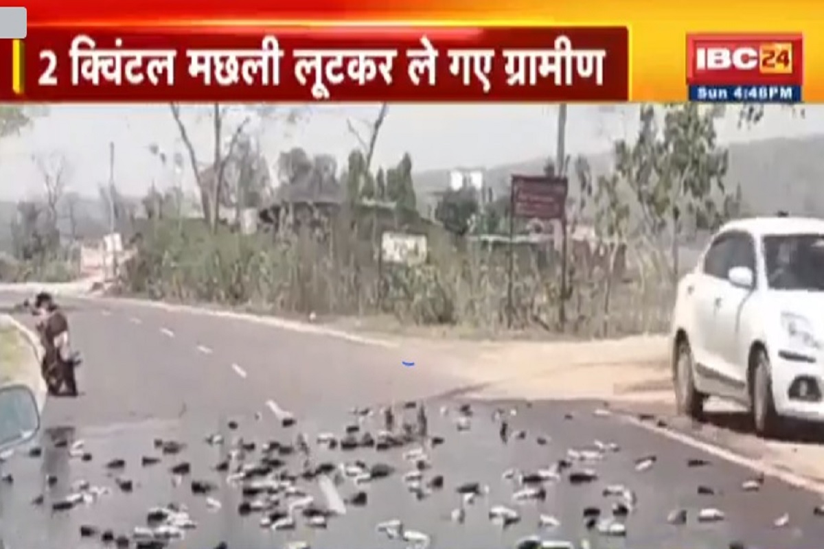 जब सड़क पर ‘तैरने’ लगीं मछलियां, लोगों में लूटने के लिए मची होड़, बोले- अब आएगा होली का असली मजा