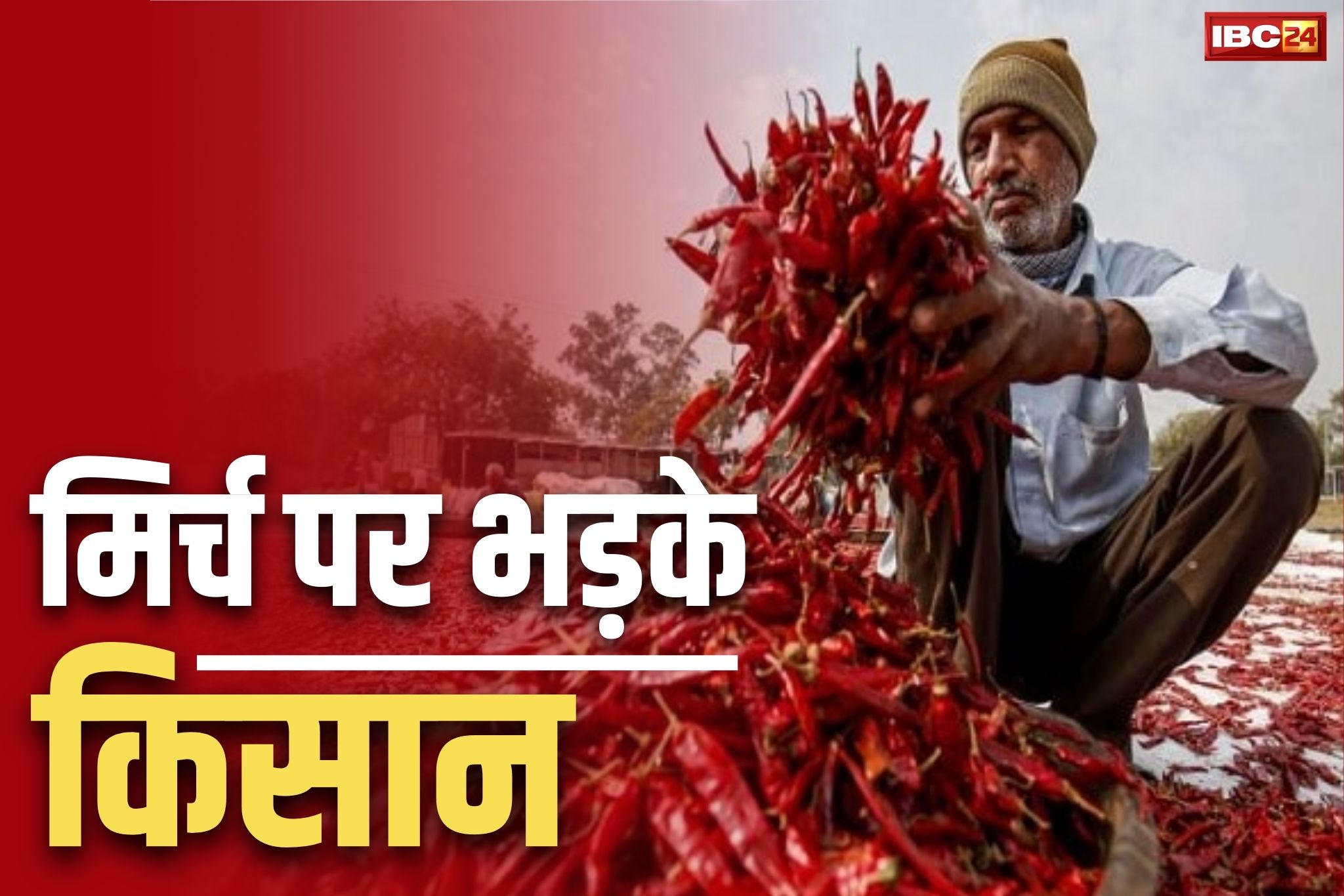 Chilli Price In Karnataka: यहाँ ‘मिर्च के भाव’ को लेकर भड़के किसान.. 3 गाड़ियों को फूँका, पुलिस पार्टी पर जमकर पथराव भी