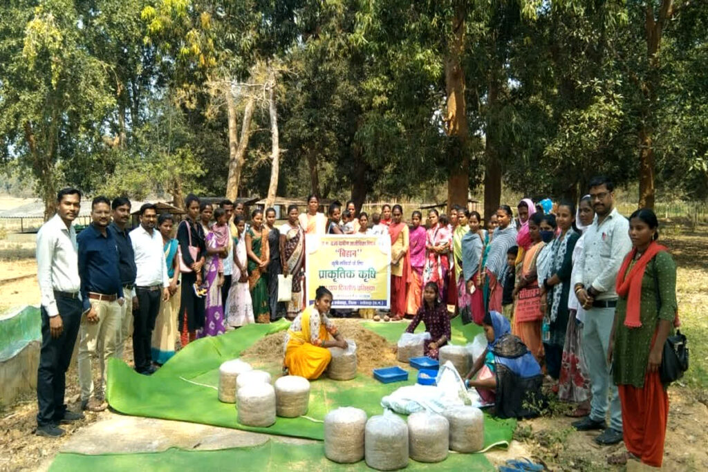 Dantewada Organic Farming