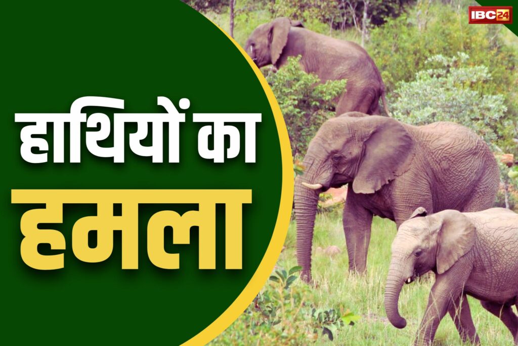 Elephants Attack In CG