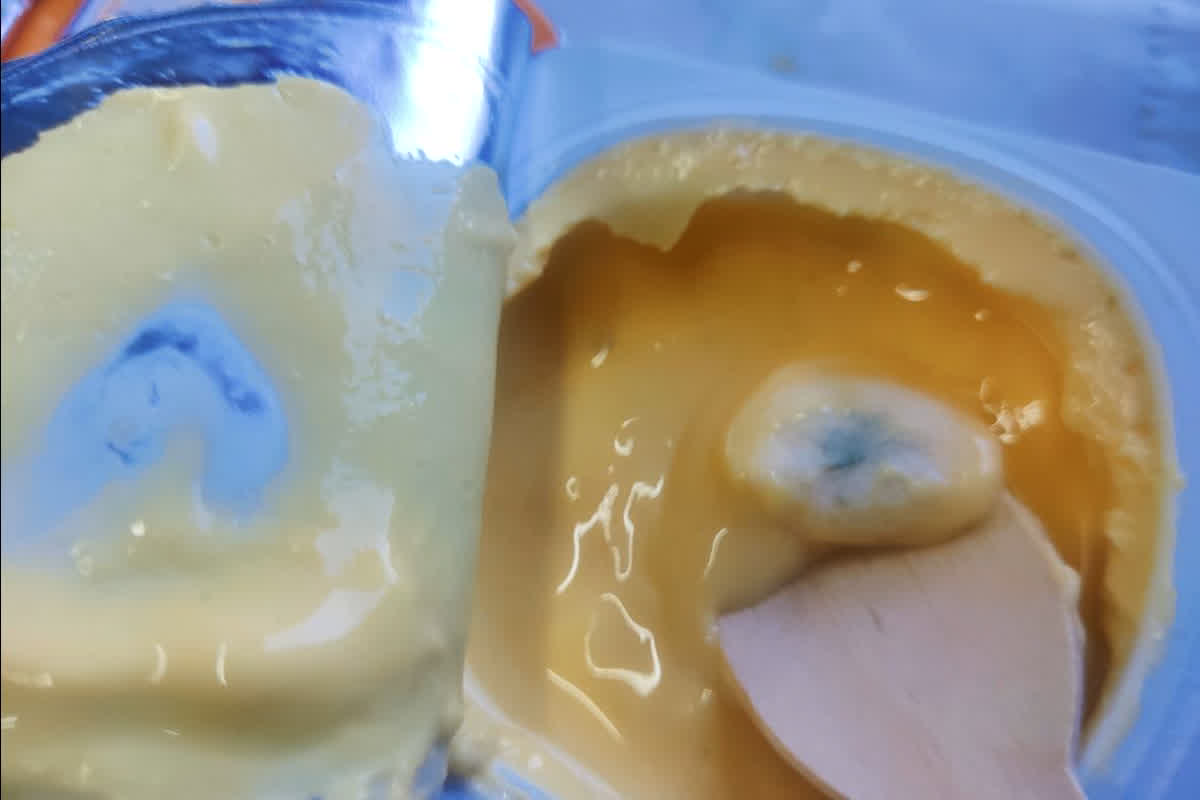 Vande Bharat Express Food : वंदे भारत एक्सप्रेस में परोसा गया फंगस वाला दही, यात्री ने पोस्ट की तस्वीरें