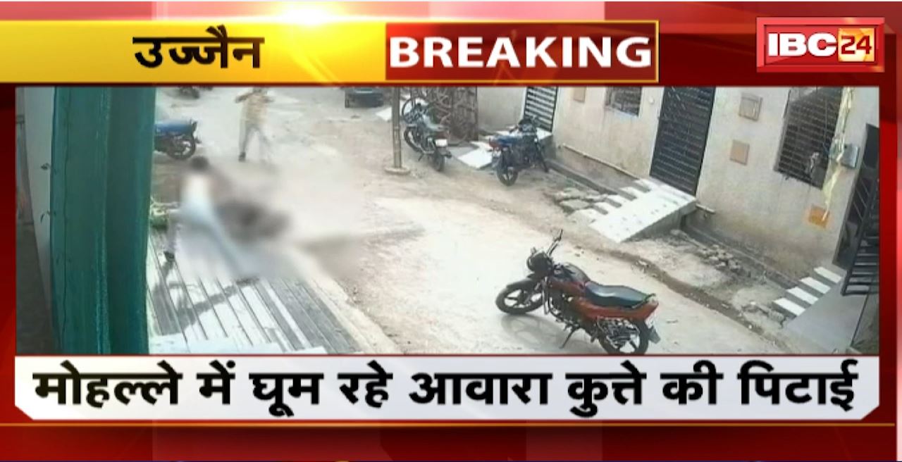 Viral Video of Dog Beating in Ujjain : मोहल्ले में घूम रहे आवारा कुत्ते की पिटाई। घटना का वीडियो Social Media में वायरल