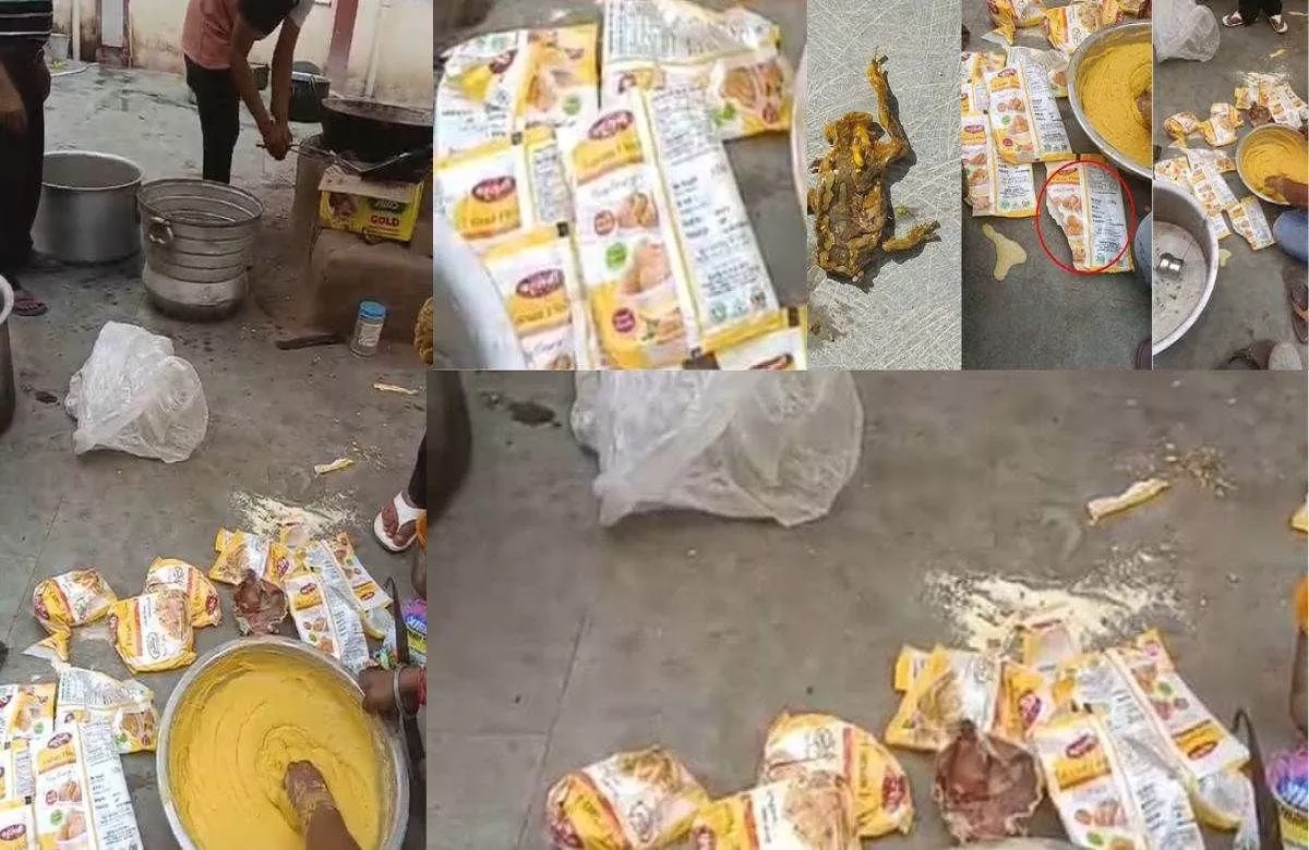 CG News: स्कूली बच्चों को भोजन में दिए जाने वाले अचार में मिला मरा हुआ मेंढक, पूरे स्कूल में मचा हड़कंप