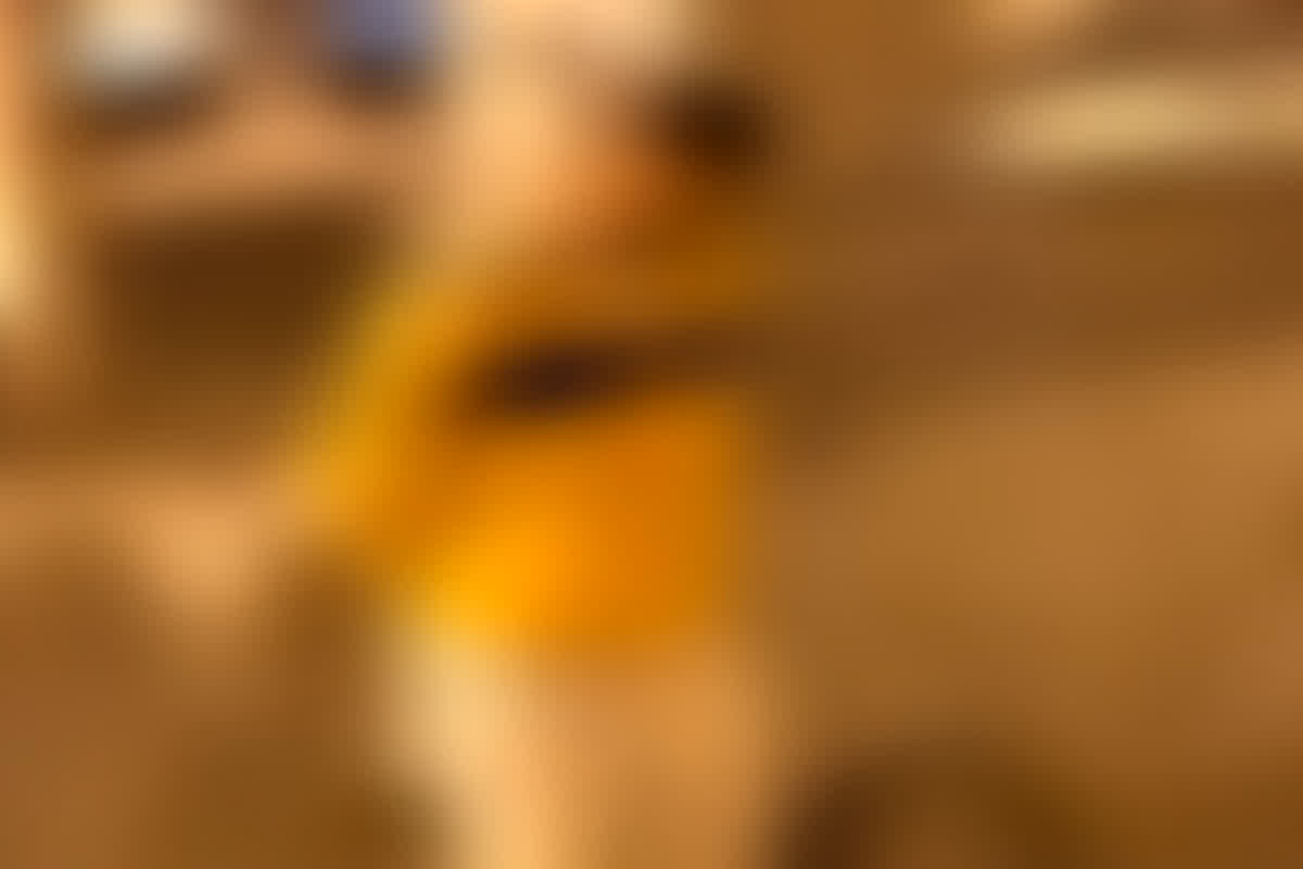 Niwari News: हत्या या आत्महत्या? संदिग्ध अवस्था में फंदे से लटका मिला युवक का शव, परिजनों ने जताई ये आशंका