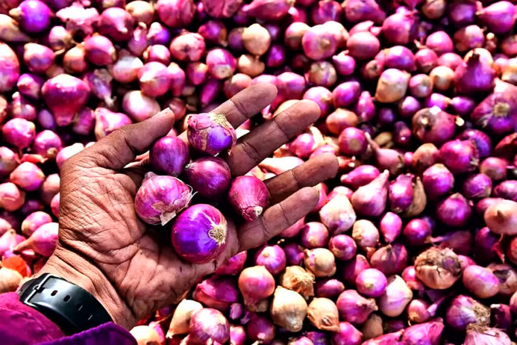 Onion Price Hike