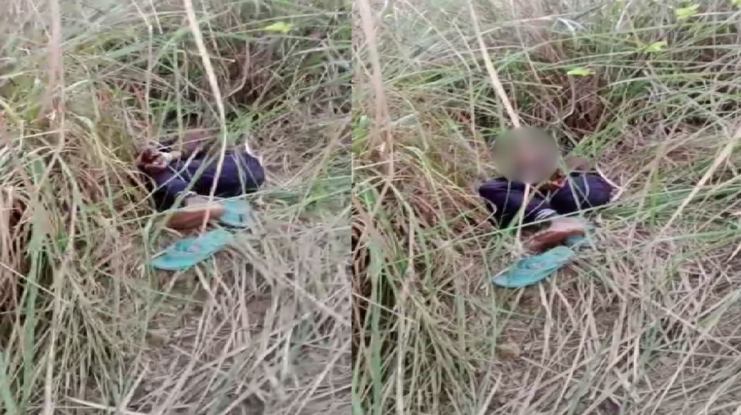 UP Child Taliban Punishment: खेत में बकरी जाने पर मासूम को दी तालिबानी सजा, हाथ-पांव बांधकर जंगल में फेंका, फिर… देखें वीडियो