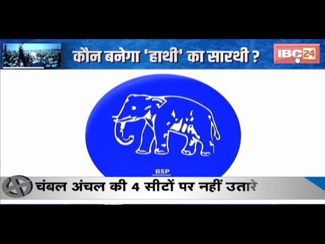 वजूद खो रही Bahujan Samaj Party | Gwalior चंबल-अंचल की 4 सीटों पर नहीं उतारे प्रत्याशी |देखिए Report