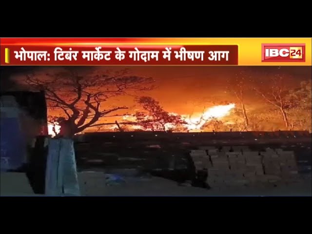 Bhopal Fire News: टिंबर मार्केट के गोदाम में लगी भीषण आग। लकड़ी के 2 गोदाम जलकर खाक। देखिए..