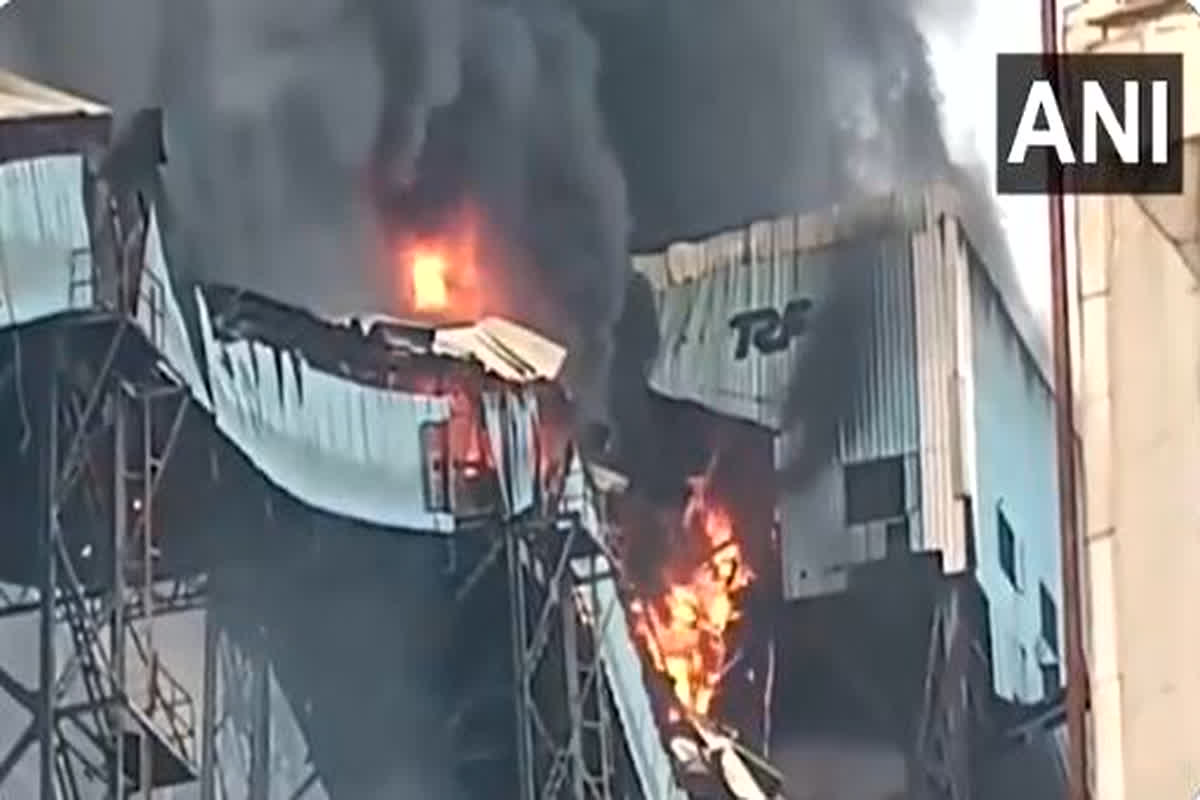 Odisha Thermal Plant Fire Video: थर्मल प्लांट में लगी भीषण आग, वीडियो देख दहल जाएगा आपका दिल
