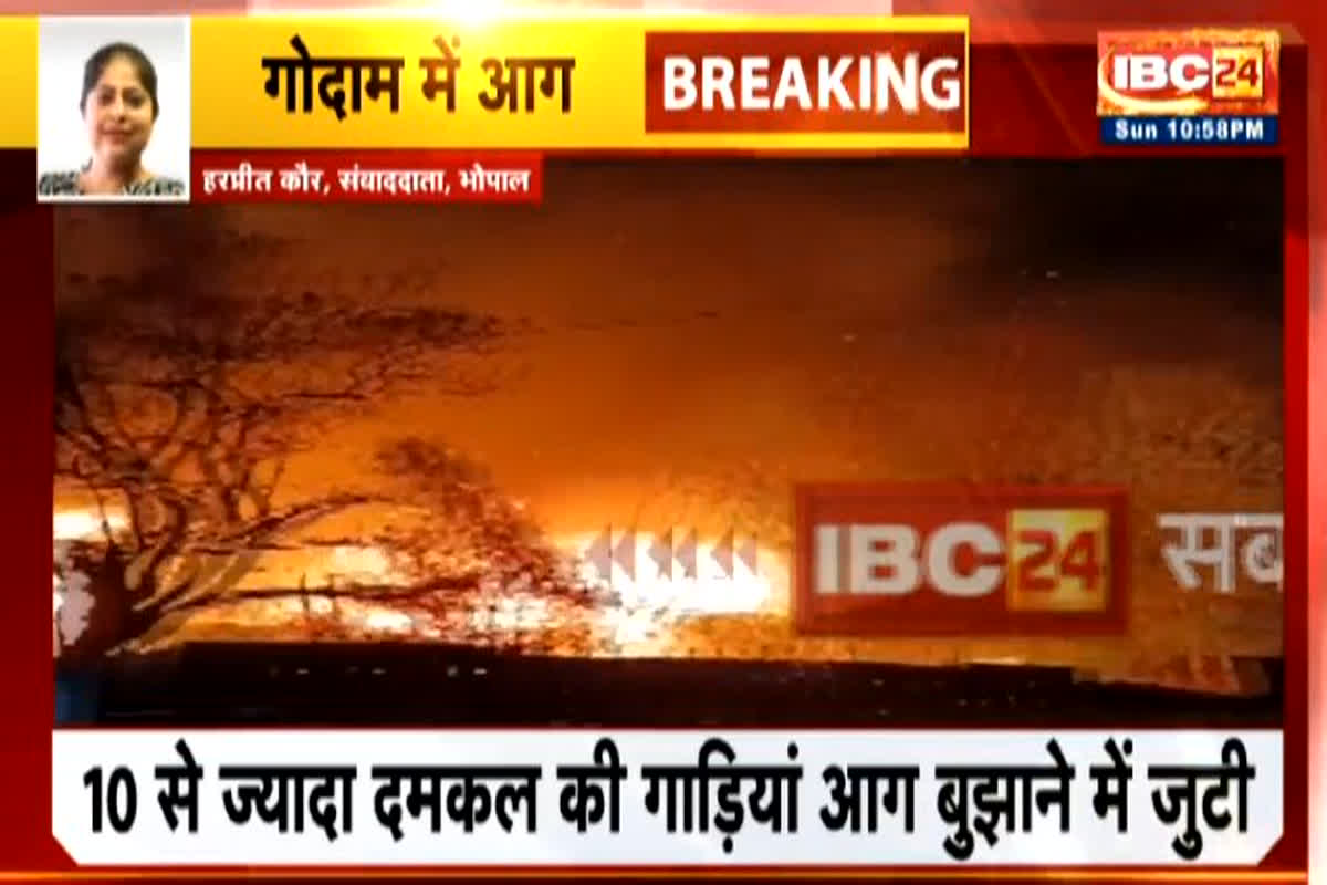 Timber Market Fire: गोदाम में लगी भीषण आग, दमकल की 10 से अधिक गाड़ियां मौके पर मौजूद…