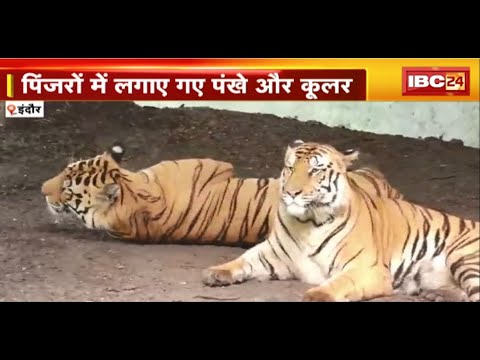 Indore Zoo News