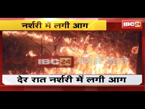 Surajpur Fire News: नर्सरी में लगी भीषण आग। आग लगने का कारण अज्ञात। देखिए..