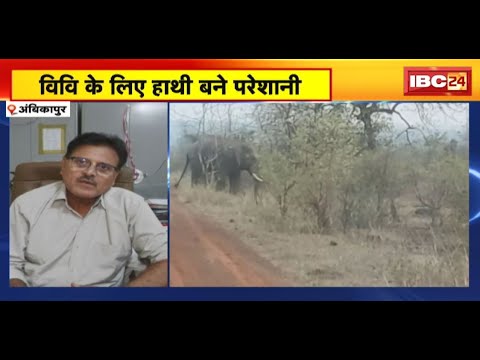 Sant Gahira Guru Vishwavidyalaya के लिए हाथी बने परेशानी | नए भवन में नहीं हो पा रही शिफ्टिंग