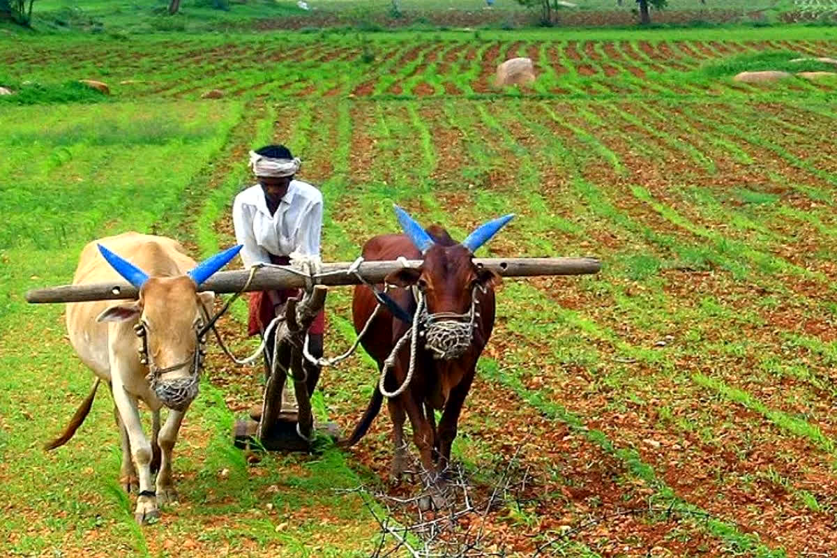 Farmer Loan Waiver in India: ‘दूसरे चरण के मतदान के बीच किसान कर्जमाफी का ऐलान, सरकार बनते ही खाते में आएंगे पैसे’ कांग्रेस नेत्री की बड़ी घोषणा