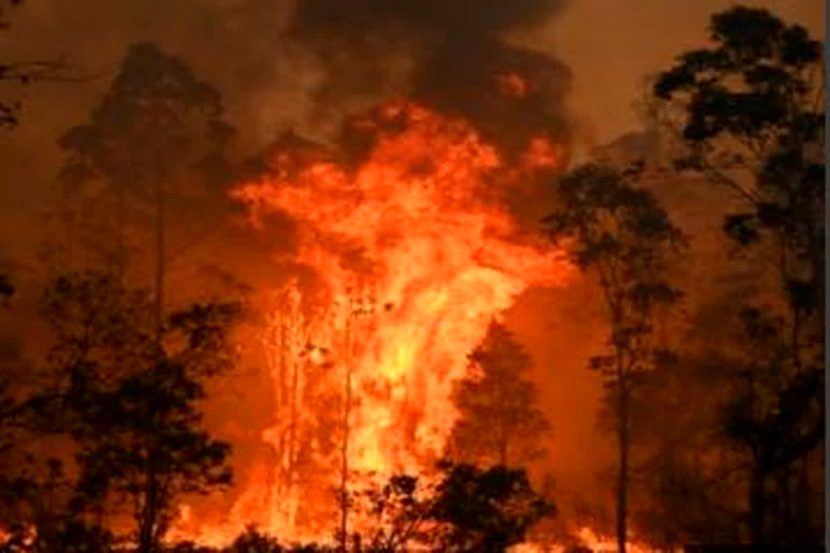 Nainital Forest Fire: नैनीताल के जंगल में लगी भयानक आग, रिहायशी इलाकों में बढ़ा खतरा, आग बुझाने बुलाई गई सेना