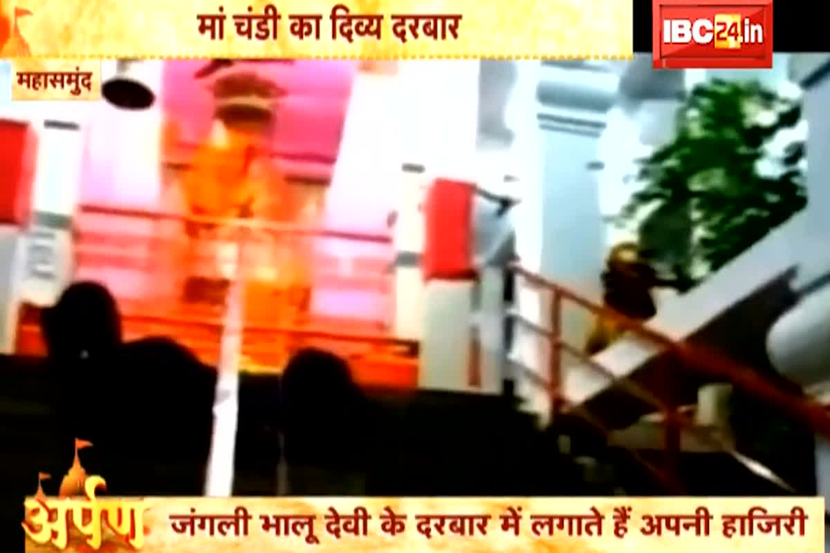 Mahasamund Mata Chandi Mandir: पहाड़ पर विराजमान देवी चंडी की महिमा है अपरंपार, माता के दर्शन के लिए यहां पहुंचता है भालुओं का परिवार