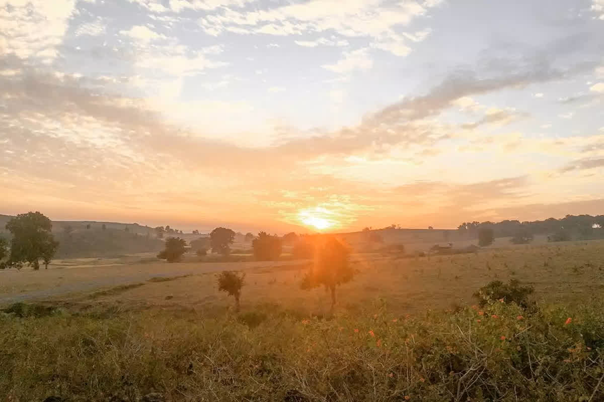 Mainpat Weather: छत्तीसगढ़ के ‘शिमला’ में गर्मी ने दिखाया रौद्र रूप…! पारा पहुंचा इतने डिग्री के पार