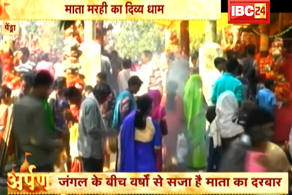 Bilaspur Marhi Mata Mandir: यहां दिल से मांगी हुई हर मन्नत पूरी करती हैं मरही माता, जानिए घने जंगलों के बीच विराजित इस देवी का कैसे पड़ा ये नाम?