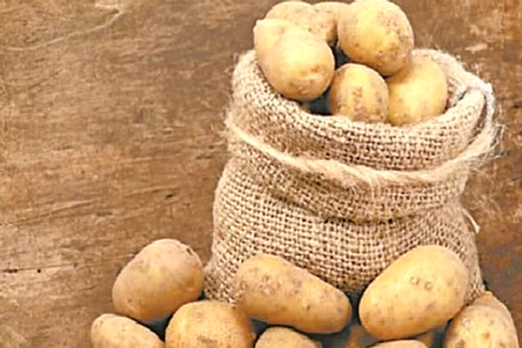 Potato price in kolkata