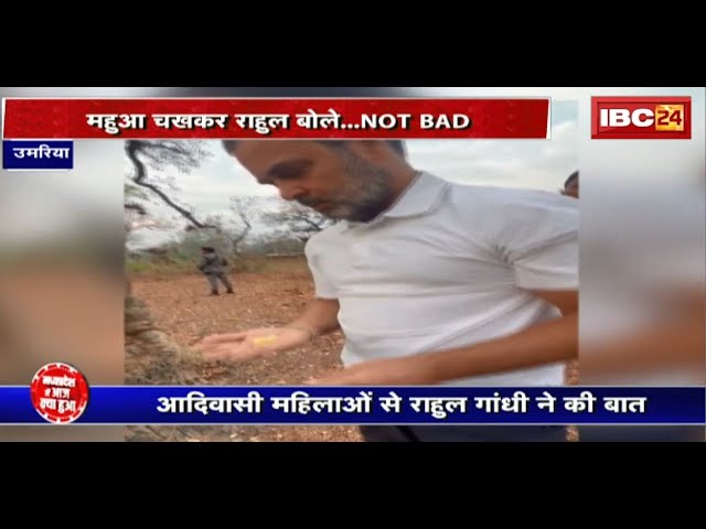 आदिवासी महिलाओं से Rahul Gandhi ने की बात | महुआ चखकर राहुल बोले… Not Bad