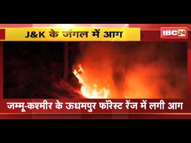 Jammu-Kashmir के ऊधमपुर फारेस्ट रेंज में लगी आग | वन विभाग आग बुझाने की कोशिश में जुटी