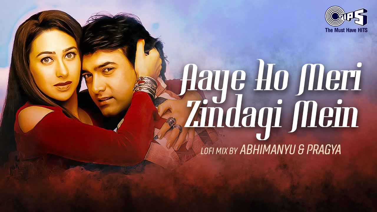 Aaye Ho Meri Zindagi Mein Lofi Mix | Raja Hindustani | Aamri Khan, Karishma Kapoor, Alka Yagnik, 90s