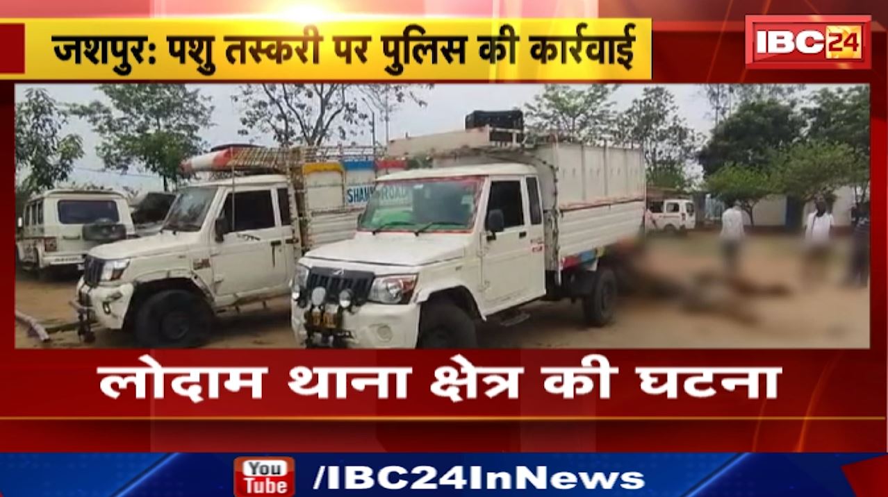 Animal Trafficking in Jashpur : 22 पशुओं से भरा 2 वाहन जब्त | Chhattisgarh से Jharkhand हो रही थी तस्करी