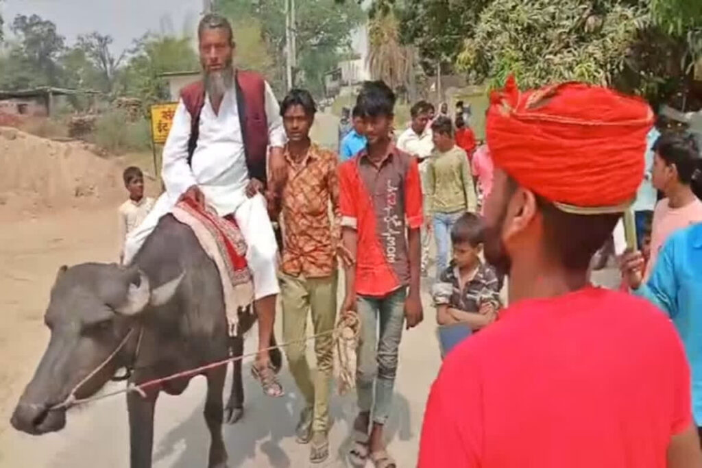 Netaji arrived on buffalo for Nomination