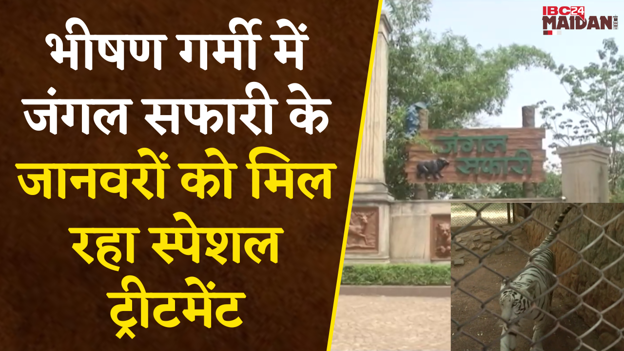 Raipur: भीषण गर्मी में Jungle Safari के जानवरो को मिल रहा Special Treatment, जानिए उनकी दिनचर्या |
