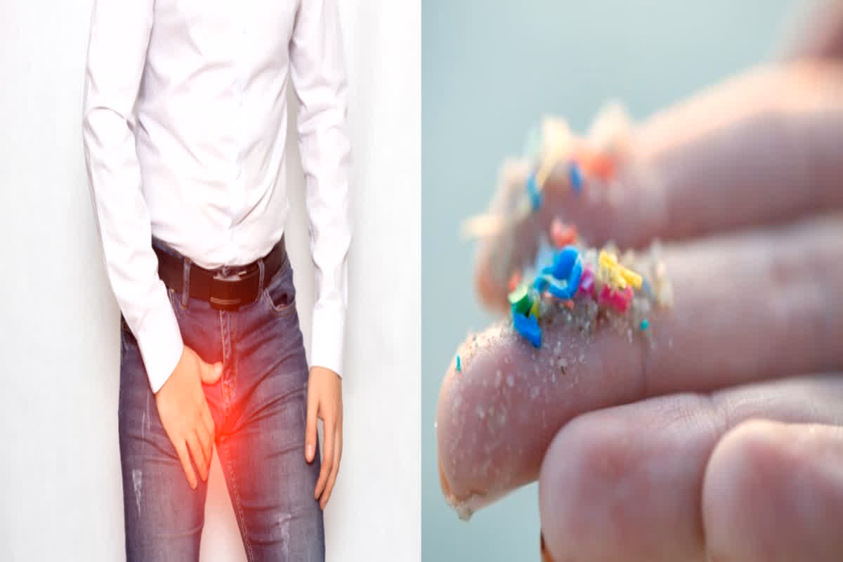 Microplastics in Men’s Testicles: पुरुषों के अंडकोष में मिला कैंसर वाला माइक्रोप्लास्टिक्स, स्टडी में हुआ चौंकाने वाला खुलासा