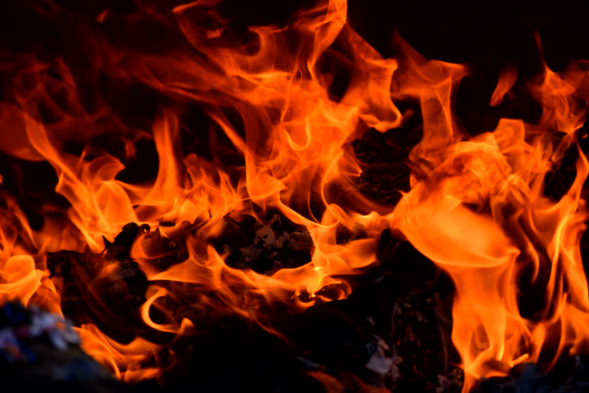 Morena Fire News: बड़ा हादसा! शॉर्ट सर्किट से घरों में लगी भीषण आग, 3 भैंस सहित तीन लोग जिंदा जले…