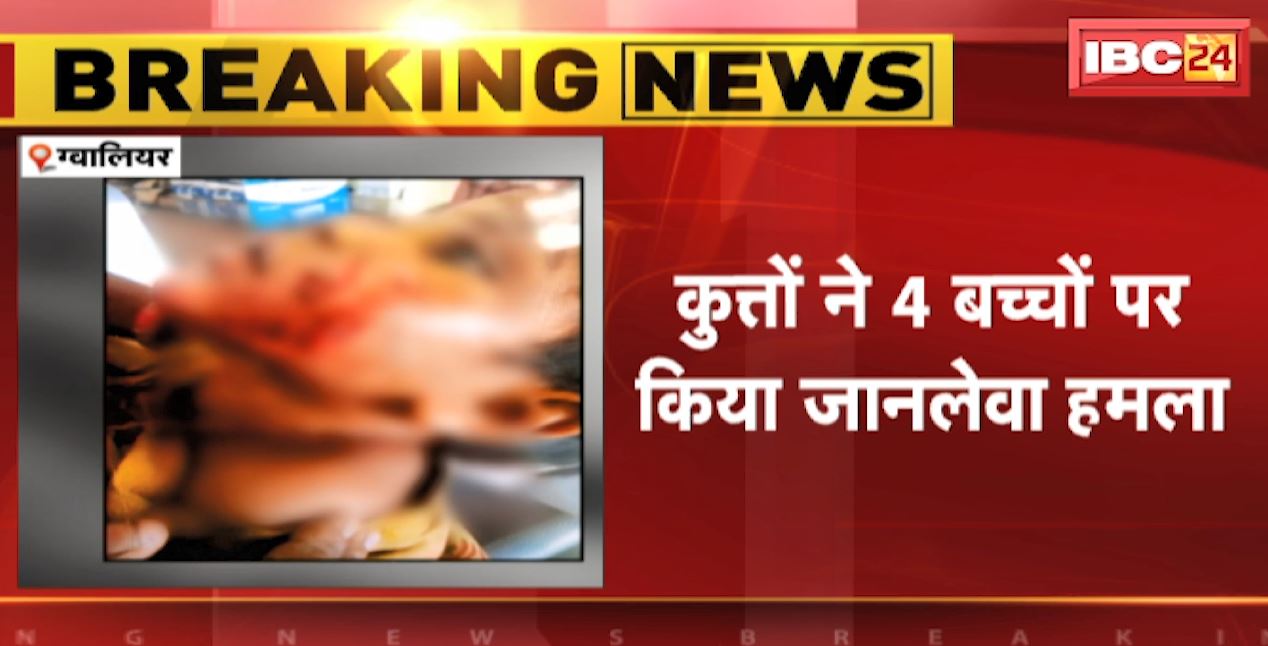Gwalior Dog Attack News : आवारा कुत्तों का आतंक | कुत्तों ने 4 बच्चों पर किया जानलेवा हमला | देखिए वीडियो