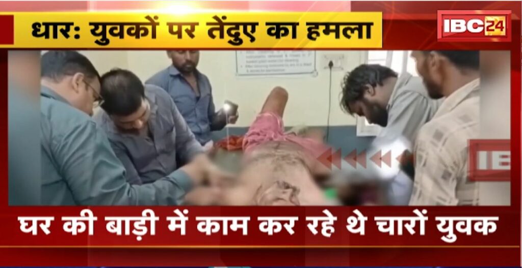 Leopard Attack in Dhar