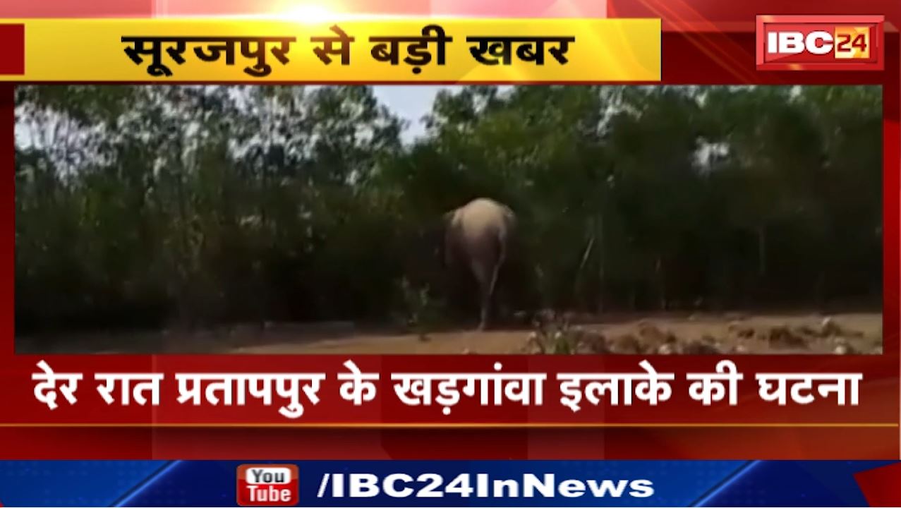 Surajpur Elephant Attack : घर तोड़ रहे हाथियों ने महिला पर किया हमला | प्रतापपुर के खड़गंवा इलाके की घटना