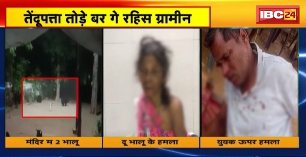 Villager seriously injured by bear attack