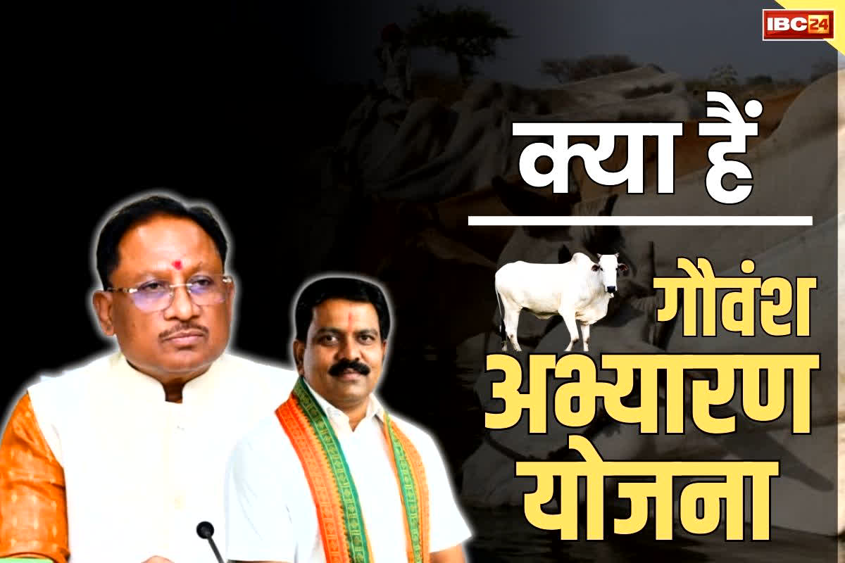 Gauvansh Abhyaran Chhattisgarh: विजय शर्मा ने बताया क्या हैं ‘गौवंश अभ्यारण योजना’.. जंगल और गाँवों की तरफ लौटेंगी शहर में घूमती गायें..