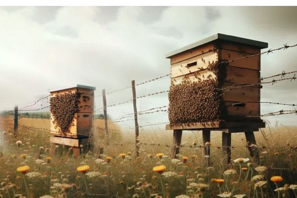 अब मधुमक्खियां करेंगी देश की रक्षा, गृह मंत्रालय ने CAPF को सीमाओं पर छत्ते लगाने के दिए निर्देश