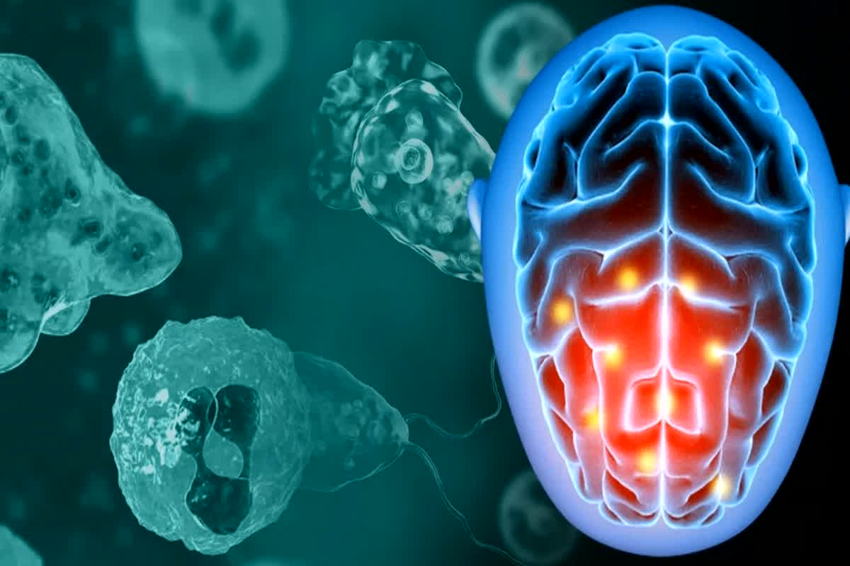 Brain Eating Amoeba: क्या है ब्रेन इटिंग अमीबा.. जिसने 5 साल की बच्ची की ली जान, जानिए इसके लक्षण?