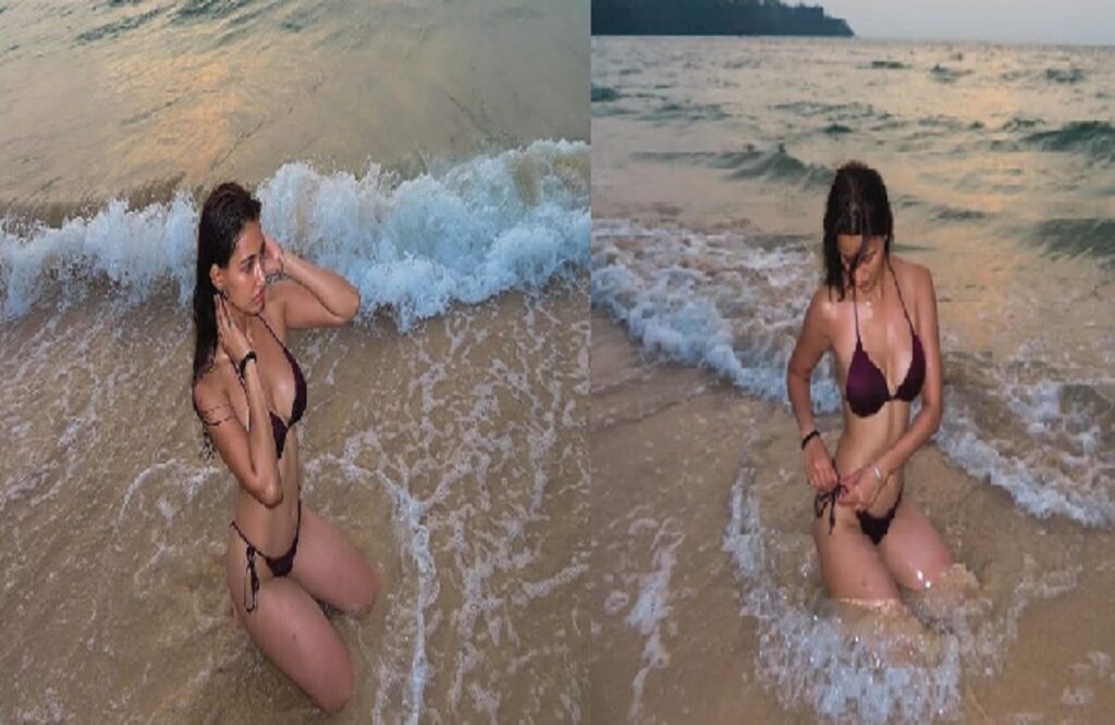 Disha Patani Hot Pic