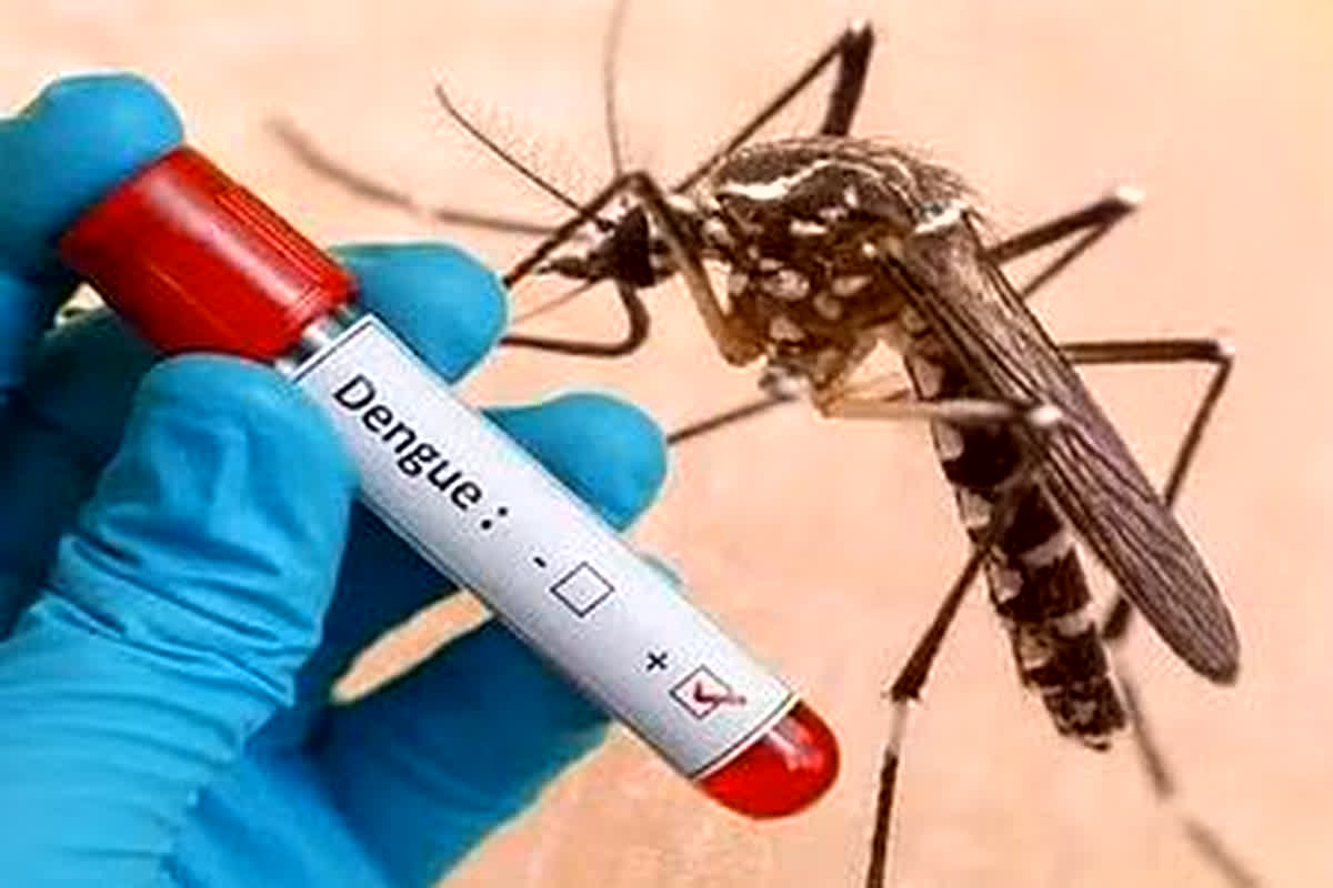 Indore News: भीषण गर्मी के बीच डेंगू ने दी दस्तक, डेंगू के मरीज मिलने से इलाके में मचा हड़कंप…