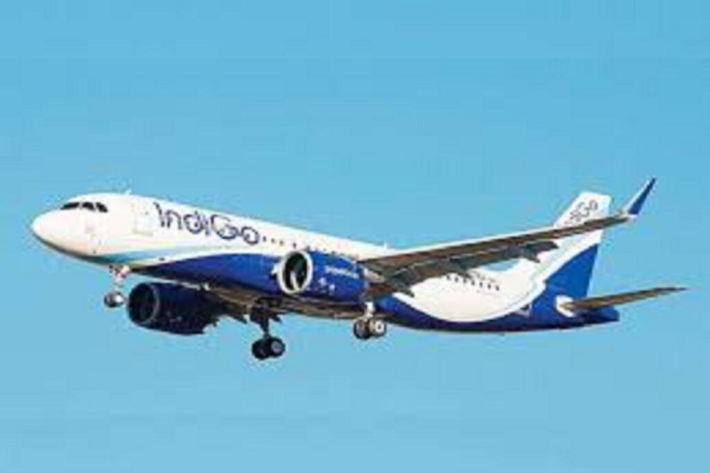 Indigo Airlines New Flights