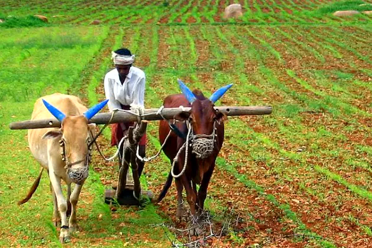 Government Scheme: किसानों के लिए बड़ी खुशखबरी! सरकार इस चीज पर देगी 50 फीसदी की सब्सिडी…