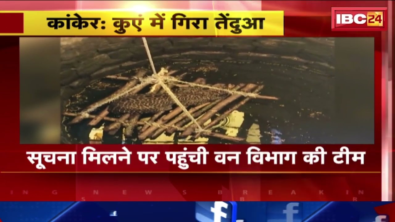 Kanker News: घर की बाड़ी में बने कुएं में गिरा तेंदुआ। मुर्गे का शिकार करने आया था तेंदुआ
