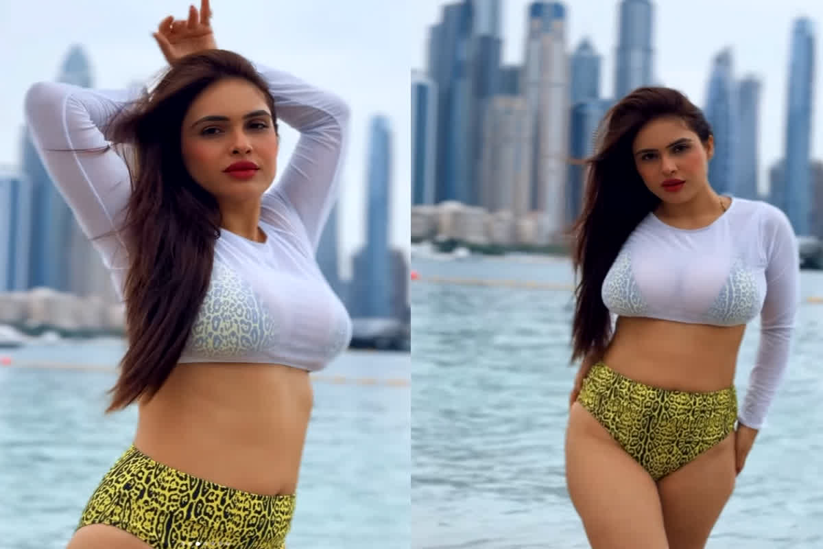 Neha Malik Sexy Video: समंदर किनारे भोजपुरी हसीना ने कराया हुस्न का दीदार, वीडियो देख नहीं हटा पाएंगे नजरें