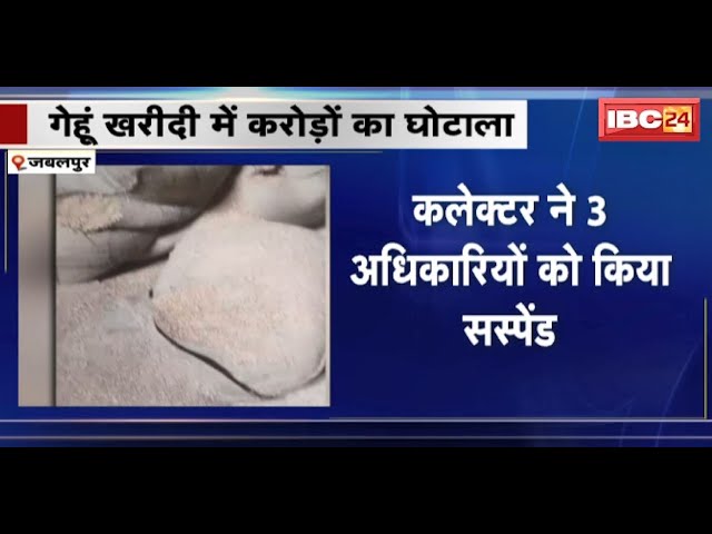 Jabalpur News : गेंहू खरीदी में करोड़ों का घोटाला | Collector ने 3 अधिकारियों को किया Suspend