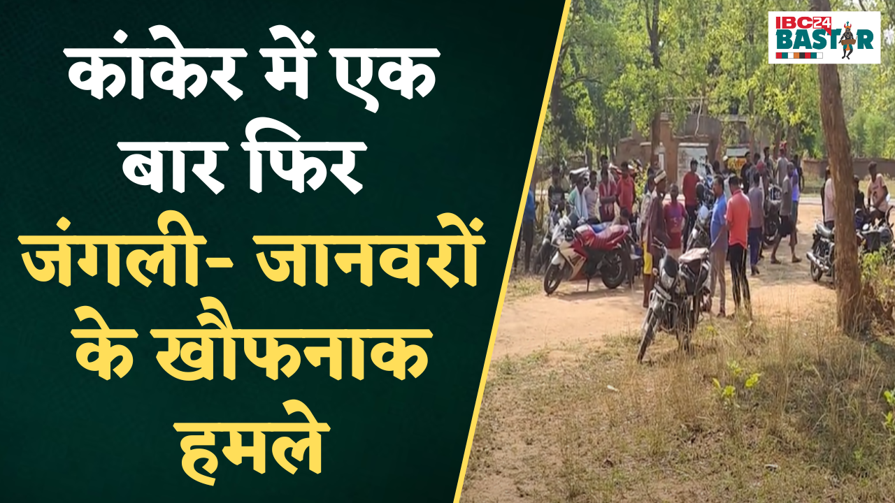 Kanker: एक बार फिर जंगली- जानवरों के खौफनाक हमले, घर में सो रही महिला को उठा ले गया तेंदुआ |