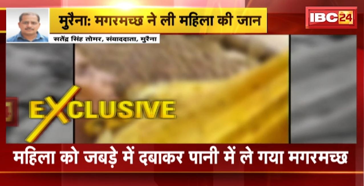 Morena News: महिला को जबड़े में दबाकर पानी में ले गया मगरमच्छ। भैंस को चंबल नदी में पानी पिलाने गई थी महिला