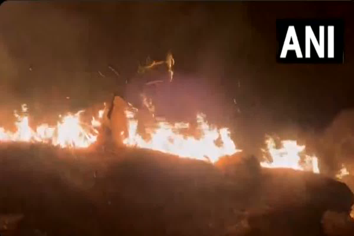 Jammu-Kashmir Forest Fire: जम्मू कश्मीर के रामनगर वन क्षेत्र में लगी भीषण आग, वीडियो देख दहल जाएगा आपका दिल