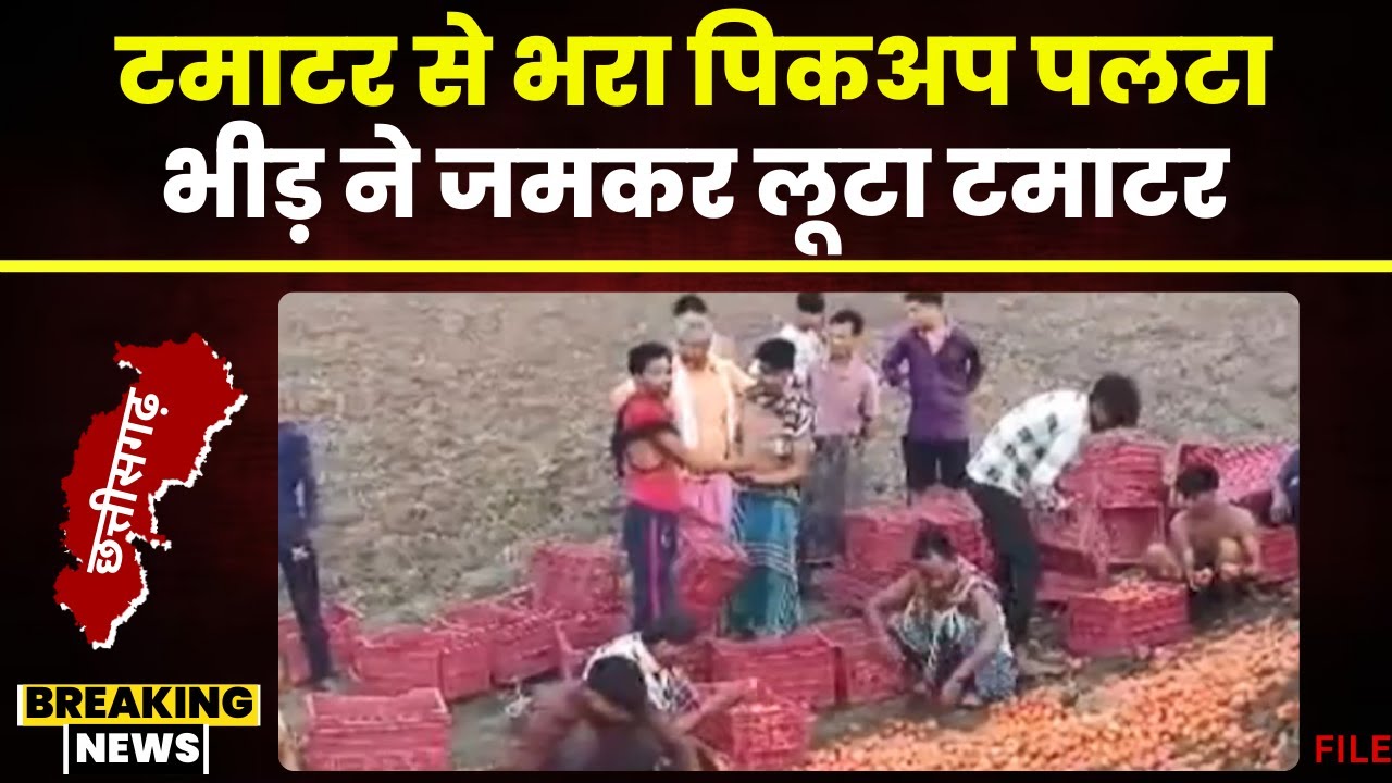 Kawardha News: टमाटर से भरा पिकअप वाहन पलटा। मौजूद भीड़ ने जमकर मचाई टमाटर की लूट